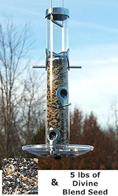 Amazon Com Bestnest Droll Yankees A 6 Bird Feeder With Tray And