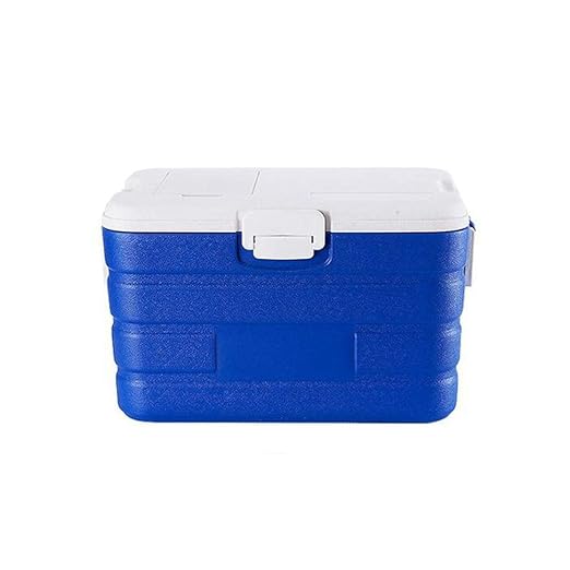 Ambiguity Nevera Camping,Transporte de Cadena de frío de Coche ...