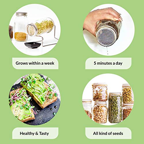 1 Pack Seed Sprouting Jar Kit Complete Indoor Growing Set for Making Sprouts Easy Fresh