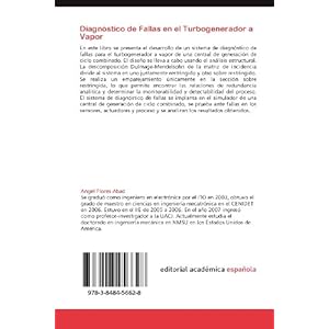 Diagnóstico de Fallas en el Turbogenerador a Vapor: de una Central de Generación de Ciclo Combinado (Spanish Edition)