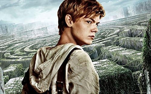Qinuo 38x24 inch The Maze Runner Silk Poster DGSF-3CC
