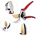 Titanium Pruning Shears - Best Pruning Tools,Pruning Snip,Tree Trimmer, Garden Shears, Hand Pruner-Included cow leather Sheath, Shrub & Hedge Clippers.