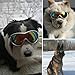 HelloPet Dog Goggles Dog Sunglasses Glasses for Dogs Dog Ski Goggles with UV Protection Pet Sunglasses with Adjustable Strap for Travel, Skiing and Anti-Fog (Black)
