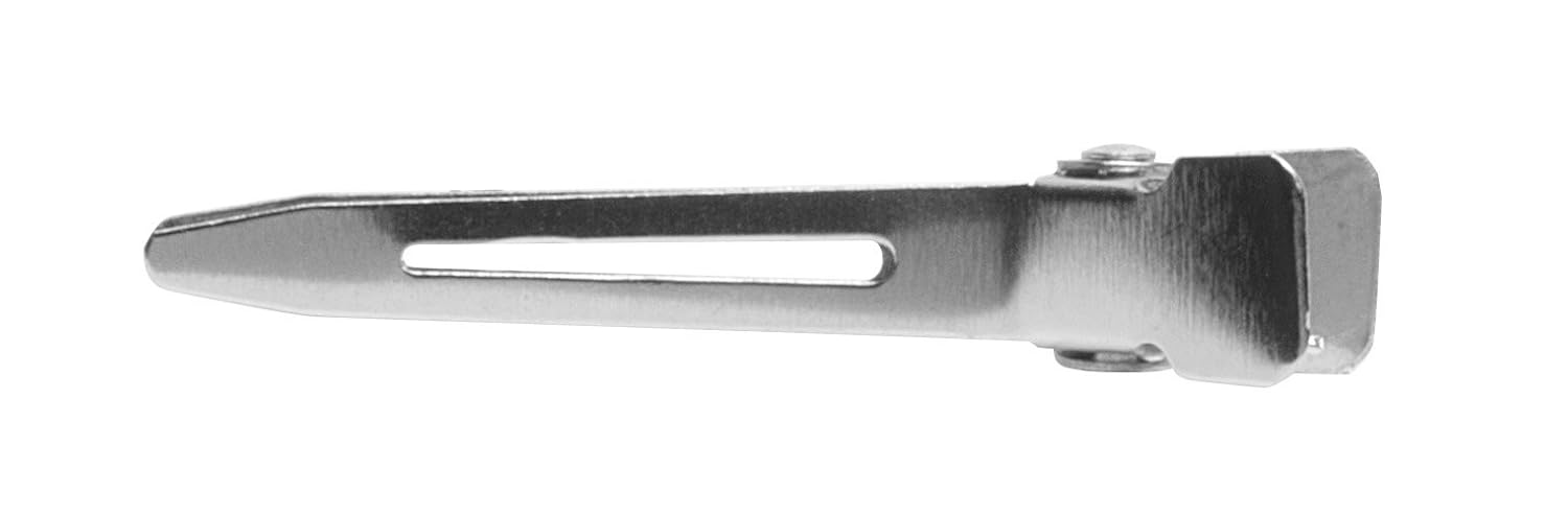 Diane Double Prong Clips 80 Clips, Silver, Pack of 80 (D17) : Hair Clips : Beauty