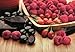 BROOKSIDE Dark Chocolate, Goji and Raspberry Flavored Snacking Chocolate Bag, 7 Oz