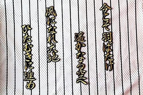 Amazon 鈴木 大地 応援歌 行金 黒 刺繍 ワッペン 千葉 ロッテ マリーンズ 応援 ユニホーム に ワッペン アップリケ 通販
