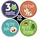 Baby Monthly Milestone Stickers for boy or Girl - (25 Pack) Newborns or Infants - Premium First Year Monthly Keepsake Stickers - 0 to 12 Month Belly Stickers with Holidays. Perfect Baby Shower Gift.