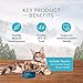 Blue Buffalo Wilderness Healthy Adult Dry Cat Food, Supports Health and Wellness, High-Protein & Grain-Free, Duck, 11-lb Bag