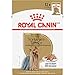 Royal Canin Yorkshire Terrier Adult Breed Specific Wet Dog Food, 3 oz can (12-count)