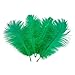 10pcs Home Decor Dark Green Ostrich Feathers