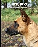 2019 - 2020 | 18 Month Weekly & Monthly Planner July 2019 to December 2020: Malinois Dog Monthly Cal by Dazzle Book Press