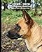 2019 - 2020 | 18 Month Weekly & Monthly Planner July 2019 to December 2020: Malinois Dog Monthly Cal by Dazzle Book Press