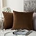 MIULEE Pack of 2, Velvet Soft Solid Decorative Square Throw Pillow Covers Set Cushion Case for Sofa Bedroom Car 18 x 18 Inch 45 x 45 Cm