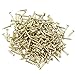 RZDEAL 200 PCS Miniature Nails Round Head Brass Nails for Small Hinges Doll Houses Delicate Boxes Mini Craft Projects(DIY, 0.05'' x 0.3'')