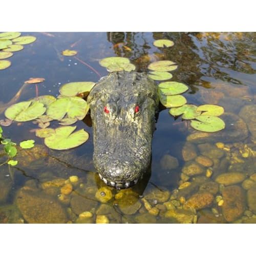 Patio, Lawn & Garden, Outdoor Décor, Water Gardens & Ponds, Pond Décor