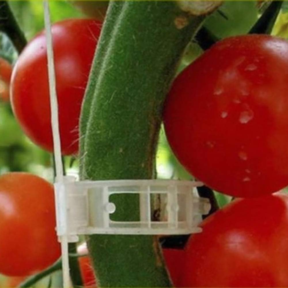 Winmany 100 Pcs Garden Plant Clips for Tomatoes - Connect Plants, Twines, Trellis, Cages, Climbing Plants and Vegetables - Image 4