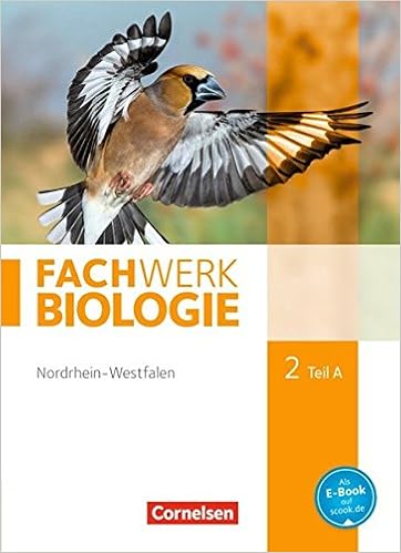 FachWerk Biologie 2 A