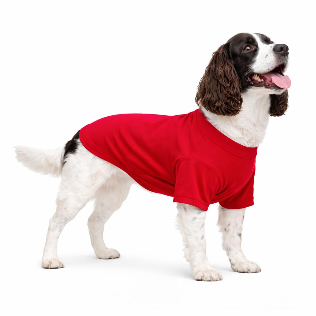 Lovelonglong Pet Clothing Dog Costumes Basic Blank T-Shirt Tee Shirts for Medium Large Dogs Red XXL+