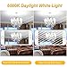 YUIIP G9 LED Light Bulb 7W Dimmable 50W 60W Halogen Bulbs Equivalent, Daylight White 6000K AC120V 550LM Lamp G9 Bi Pin Base, Non-Flicker, 360°Beam Angle, 6 Pack