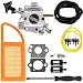 Dalom BR 600 Carburetor Air Filter Fuel Carb Repower Kit for Stihl BR500 BR550 BR600 Backpack Blower Leaf Blower Parts Replaces Zama C1Q-S183 4282-120-0606 4282-120-0607 4282-120-0608