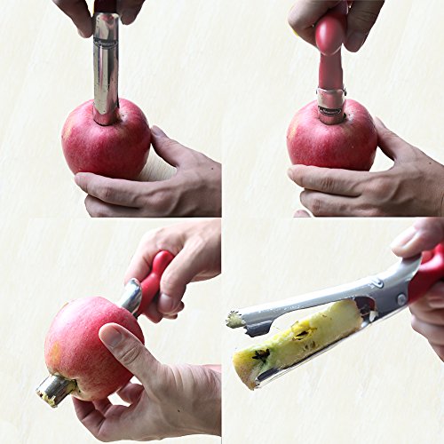 Apple Corer, Newness Premium Apple Corer Remover, Stainless Steel Apple