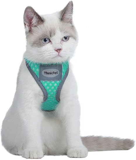 Thinkpet Harnais Chat Harnais Anti Traction Confortable Respirant Pour Chat Harnais Veste Reflechissant Gilet Reglable Facile A Mettre Harnais Amazon Fr Animalerie