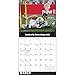 Lacrosse 2017 Wall Calendar