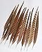 wanjin 10PCS Natural Pheasant Feathers Pheasant Tails 14-16 inch(35-40CM),Natural
