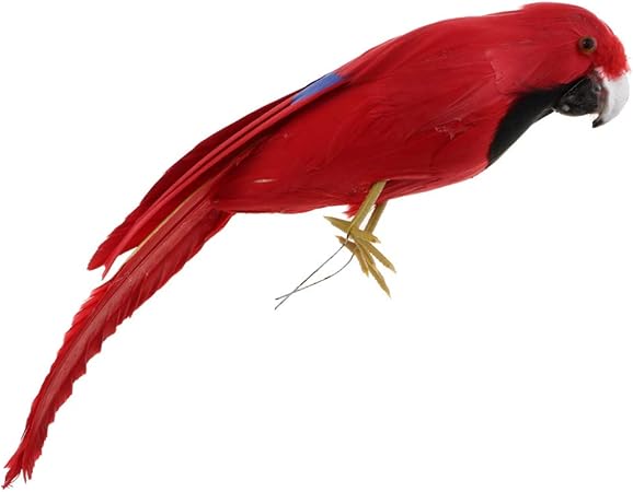 Amazon 12カラー選択 鳥モデル オウム 動物模型 フィギュアおもちゃ 教育玩具 カラフル 2 プラモデル 通販 Amazon 12カラー選択 鳥モデル オウム 動物模型 フィギュアおもちゃ 教育玩具 カラフル 2 プラモデル 通販