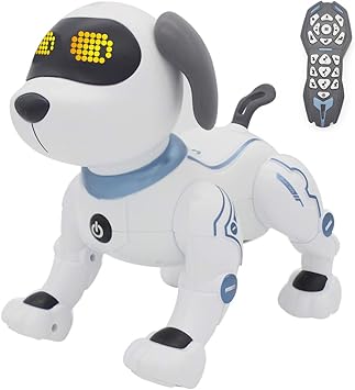 remote control dog toy