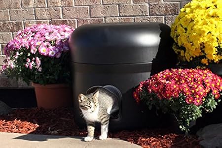 the kitty tube gen 3