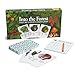 Ampersand Press 525326 Into the Forest, Nature's Food Chain Game