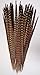 25 pc, Ringneck pheasant tails, 15-20