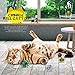 HNYYZL 25 Pack Crinkle Balls Cat Toys - Original Mylar Crinkle Balls Cat Toys（Random Color）