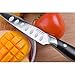 Paring Knife Fruit Knife Classic 3.5 Inch Premium Stainless Steel Spear Point Non-slip Handle Good at Peeling Slicing Cutting for Kitchen with Gift Carry Case …