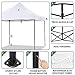 FDW Canopy Tent, Commercial Instant 10x10 Heavy Duty Canopy, 300D Waterproof Adjustable Canopy with Wheeled Carry Bag, 4 Sandbags and 4 Stakes