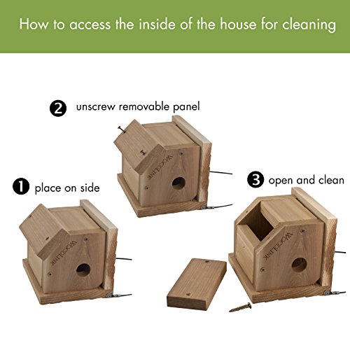 Woodlink Traditional Wren House - Natural Cedar Bird House