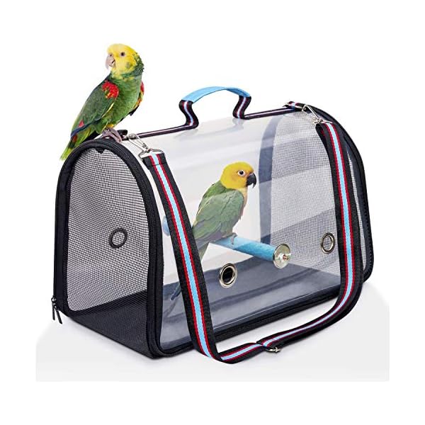 bird carrier with perch