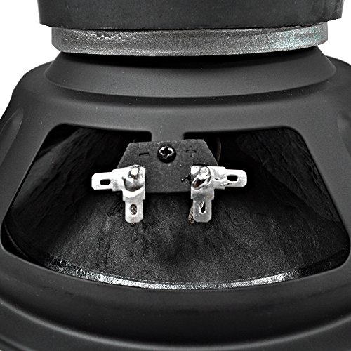 Seismic Audio T10Sub 10 Inch Steel Frame Subwoofer Driver 200