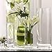 Noah Decoration Hand-Blown and Handmade Cylinder Clear Glass Flower and Filler Vase for Home and Wedding Indoor and Outdoor Decoration 4.33
