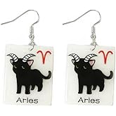 12 Zodiac Sign Black Funny Cat Earrings for Women Glowing In The Dark Kawaii Kitty Dangle Earrings Constellation Acrylic Cute Anime Cat Animal Lover Jewelry Astrology Charms Birthday Gifts