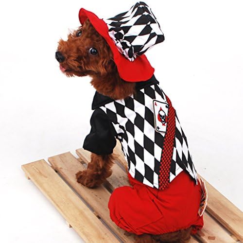 Vvhome Cosplay Funny Magician Cartoon Pet Custume Coat for Small Medium Large Dogs (XL, Red)