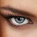 Women Multicolor Cute Charm and Attractive Fashion Eye Accessories Cosmetic Makeup Eye Shadow - Grey 2 Tone with Contact Lens Case By Biuti TM