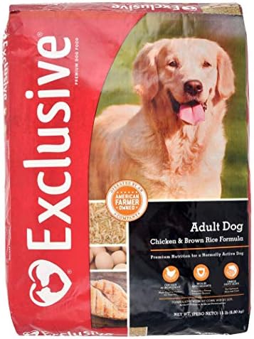 can i feed my dog sweet potato everyday