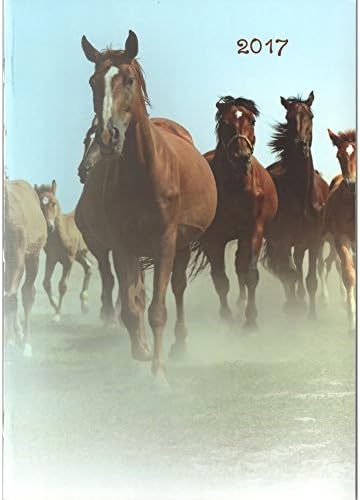 2017 Monthly Calendar Planner Organizer | Appointment Date Log Agenda Diary Journal Goals Dreams Accountability Book | 10 X 7 Hard Cover | Business School Fitness To Do List Time Management (Horses)