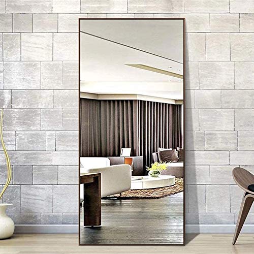 Hans & Alice 65"x24" Large Full Length Floor Mirror, Free Standing