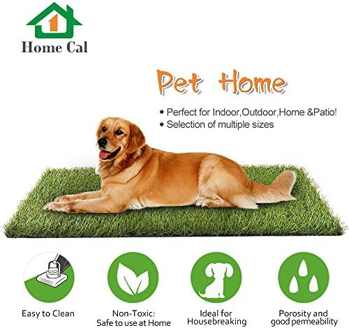 Home Cal Artificial Grass Rug Series Landscape Outdoor Decorative Synthetic Turf Pet Dog Area with Neat Edge 2cm 5'x8' Autumn Grass