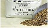 Rye Berries Organic 5