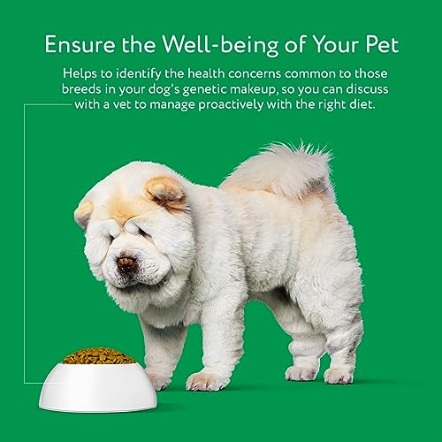 DNA My Dog Trusted & Affordable Breed Identification Test | 350+ Breeds Identified with 99%+ Accuracy | Complete Breed Analysis, Personality and Behavior Insights | Easy Cheek Swab, Results in 2 Weeks