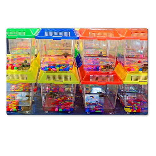 MSD Natural Rubber Large Table Mat Image ID 23905537 fish in tanks for sale in a pet store